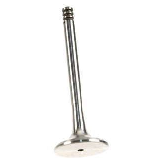 AE® - Exhaust Valve