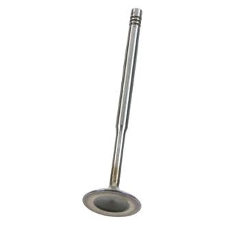 AE® - Intake Valve