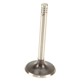AE® - Intake Valve