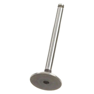 AE® - Intake Valve