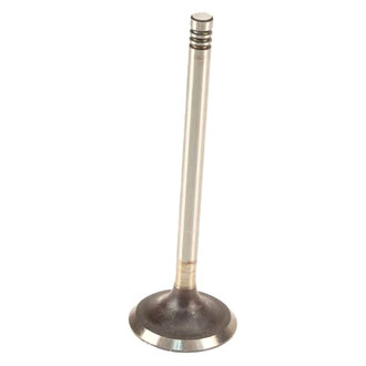 AE® - Intake Valve