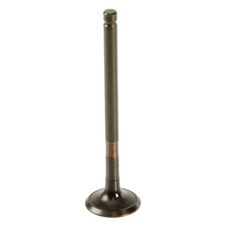 AE® - Exhaust Valve