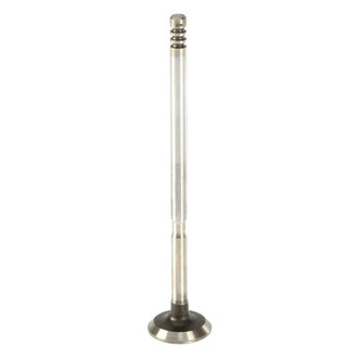 AE® - Exhaust Valve