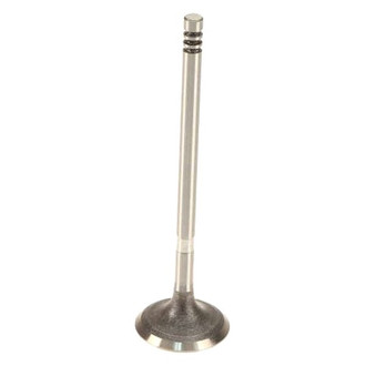 AE® - Intake Valve