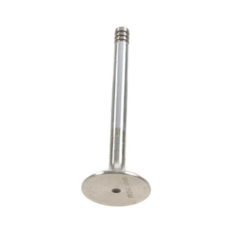 AE® - Intake Valve