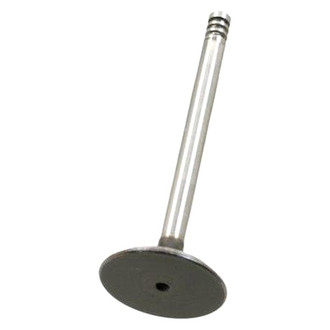 AE® - Intake Valve