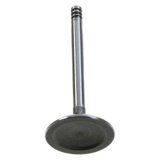 AE® - Intake Valve