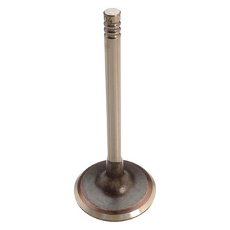 AE® - Intake Valve