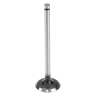AE® - Intake Valve