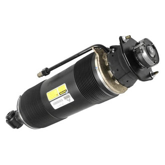 Arnott® - Rear Passenger Side Air Strut Assembly