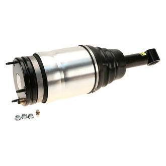 Arnott® - Rear Passenger Side Strut