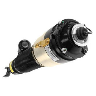 Arnott® - Front Passenger Side Air Strut Assembly