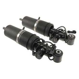 Arnott® - Rear Air Shock Absorbers
