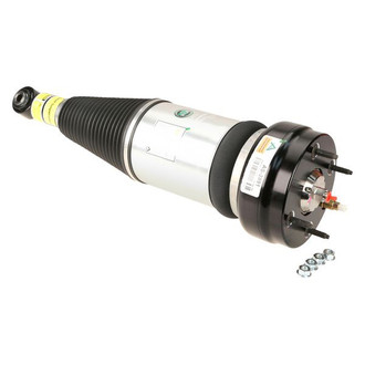 Arnott® - Rear Driver or Passenger Side Air Strut Assembly