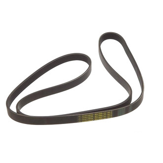 Continental® ContiTech™ - Serpentine Belt