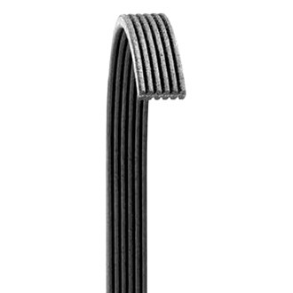 Dayco® - Accessory Drive Belt