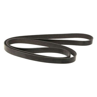 Dayco® - Accessory Drive Belt