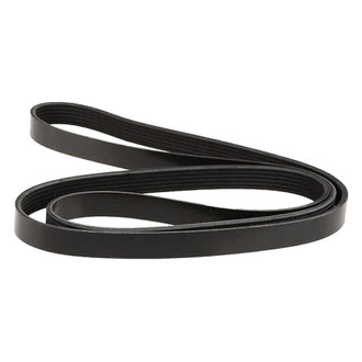 Dayco® - Accessory Drive Belt