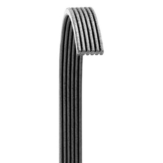 Dayco® - Primary Accessory Drive Belt