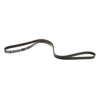 Dayco® - Accessory Drive Belt