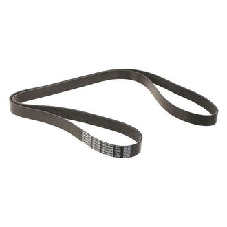 Dayco® - Accessory Drive Belt