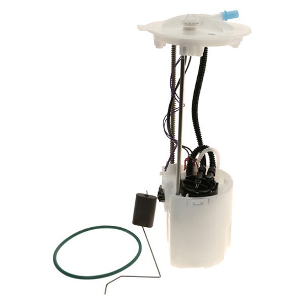 Delphi® - Fuel Pump Module Assembly