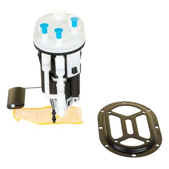 Delphi® - Fuel Pump Module Assembly