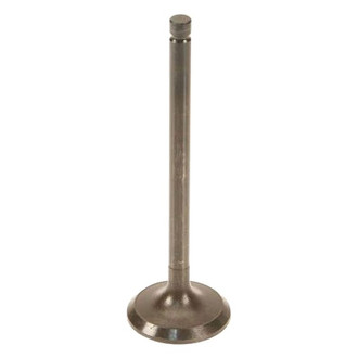 Dokuro® - Intake Valve