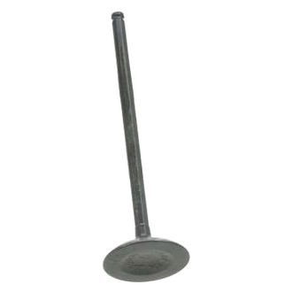 Dokuro® - Intake Valve