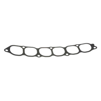 Donga® - Fuel Injection Plenum Gasket