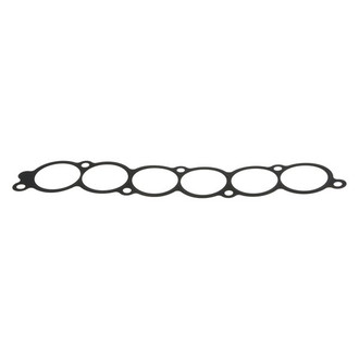 Donga® - Lower Fuel Injection Plenum Gasket