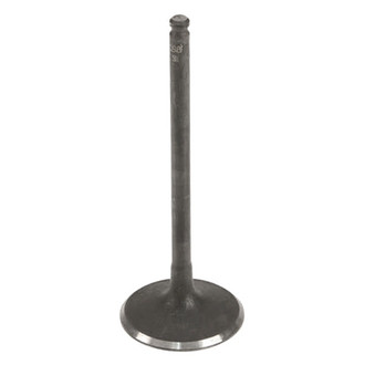 Eurospare® - Intake Valve