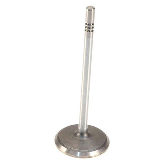 Genuine® - Intake Valve