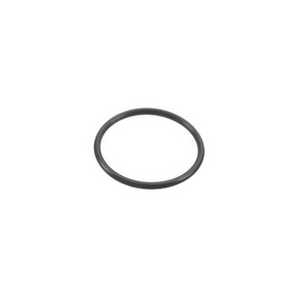 Genuine® - Fuel Injection Plenum Gasket