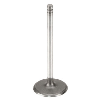 Genuine® - Intake Valve