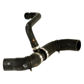Genuine® - Engine Coolant Radiator Hose