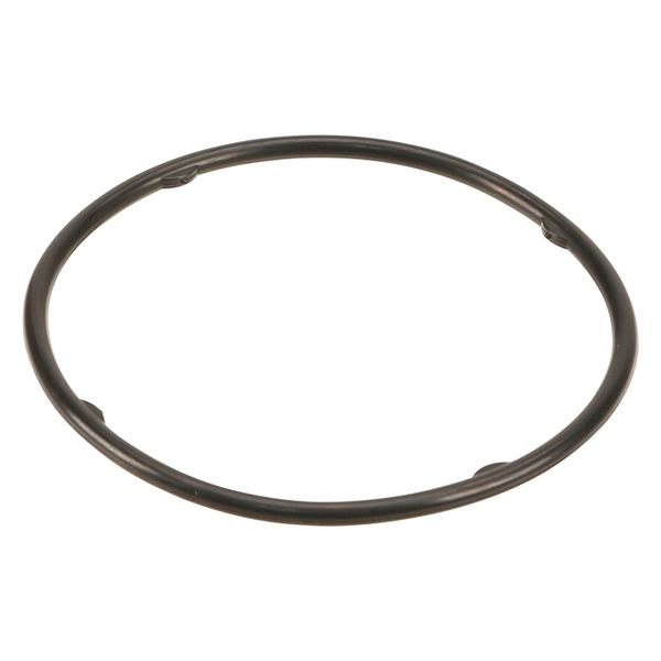 Genuine® - Differential Oil Cooler Seal