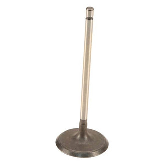 Genuine® - Intake Valve