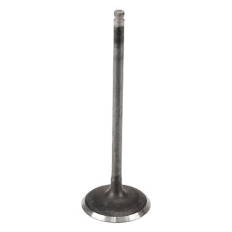 Genuine® - Intake Valve