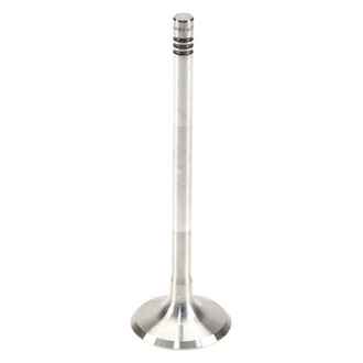Genuine® - Exhaust Valve