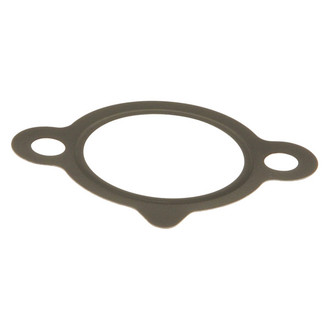 Genuine® - Timing Chain Tensioner Gasket