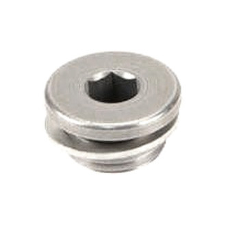 Genuine® - Cylinder Head Plug