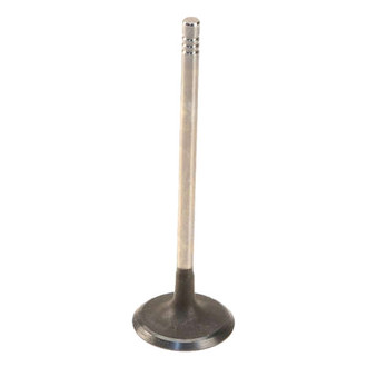 Genuine® - Intake Valve