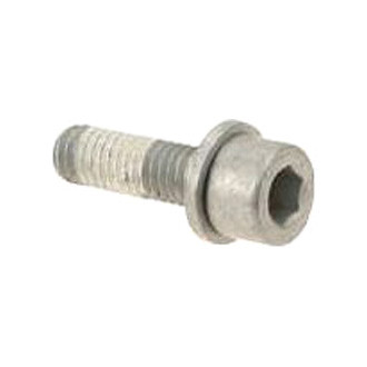 Genuine® - Fuel Pump Bolt
