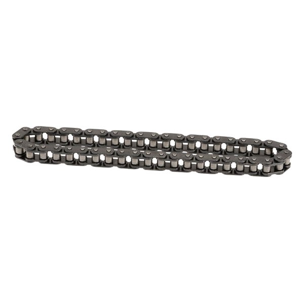 INA® - Timing Chain