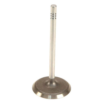 Mopar® - Intake Valve