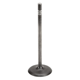 Mopar® - Intake Valve