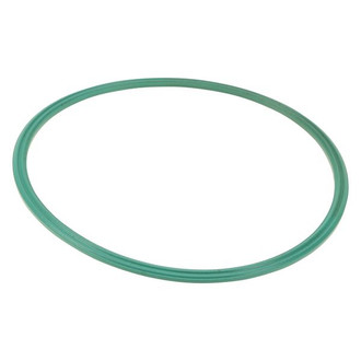 Motorcraft® - Fuel Pump Tank Seal