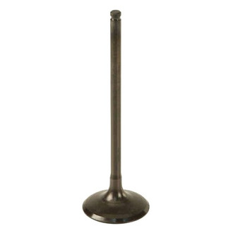 Nakamura® - Intake Valve