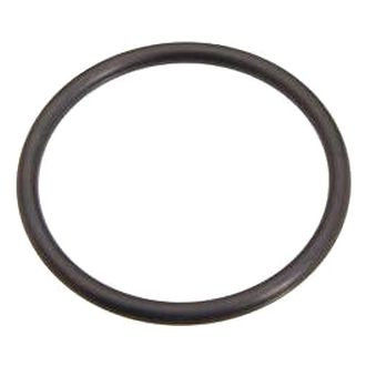 NOK® - Fuel Injection Plenum Gasket